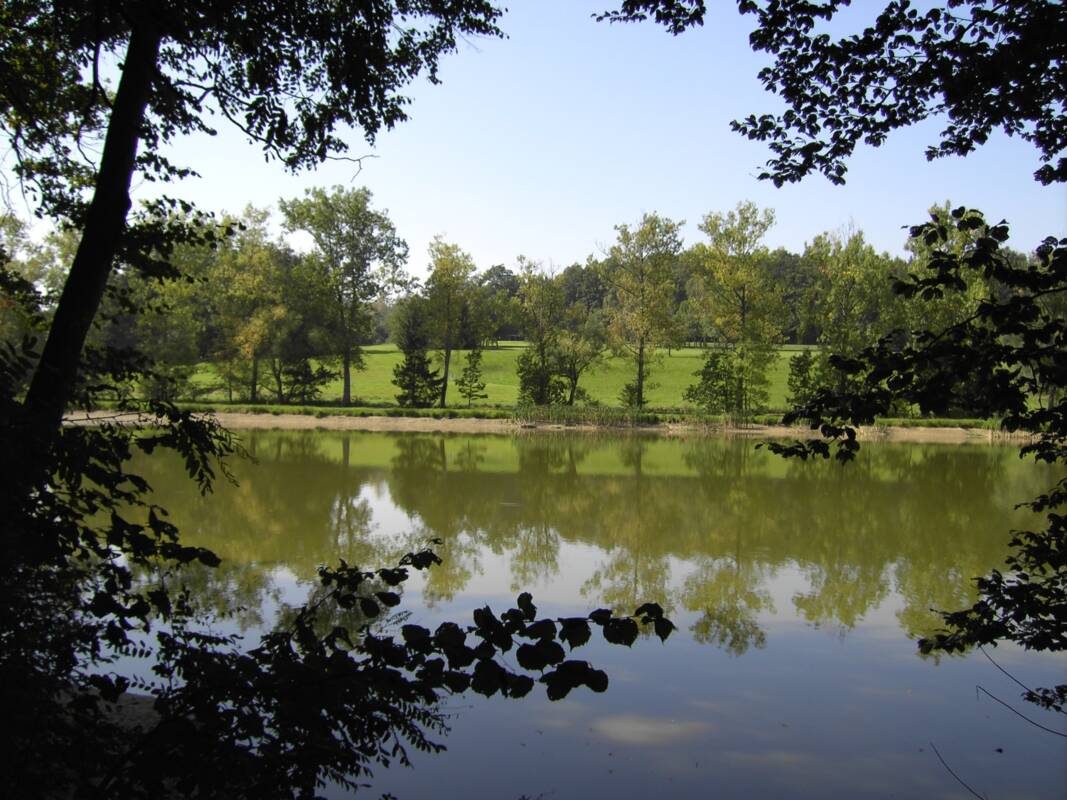 Burgwalden Weiher & Golfplatz